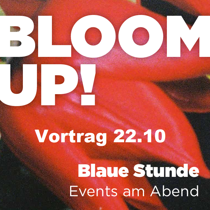 Blaue Stunde (22.10)