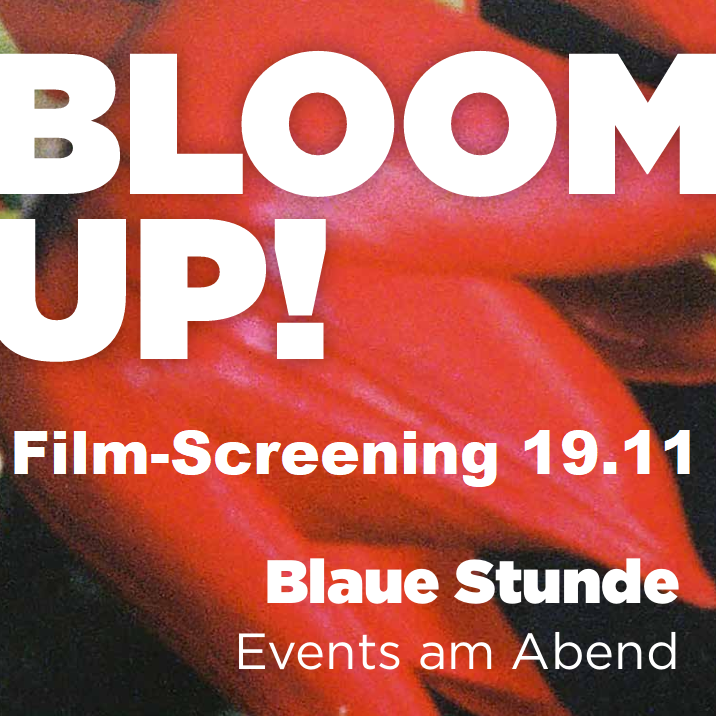 Blaue Stunde (19.11)